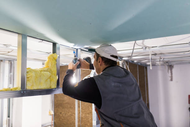 Best Insulation for New Construction  in Independence, IA