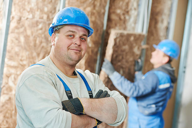 Best Affordable Insulation Services  in Independence, IA
